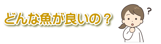 どんな魚が良いの？